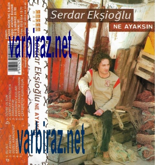 Serdar-Eksioglu---Ne-Ayaksin-Cadde-Muzik.jpg