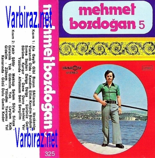 Mehmet-Bozdogan---5-Turkuola-325.jpg