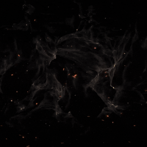 DRTRIPSS1.gif