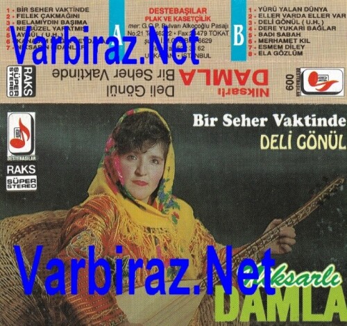 Niksarli-Damla-Yildirim---Bir-Seher-Vaktinde--Deli-Gonul-Destebasilar-009.jpg