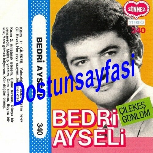 Bedri-Ayseli---Cilekes-Gonlum-Sonmez-340.jpg