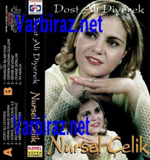 Nursel-Celik---Dost-Ali-Diyerek-Dersim-Kasetcilik.jpg